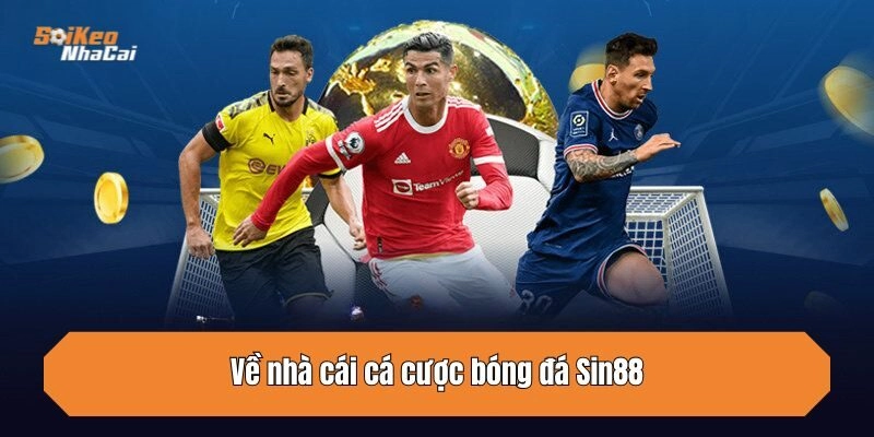 Về nhà cái cá cược bóng đá Sin88