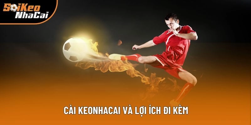 Keonhacai có app di động không và lợi ích đi kèm