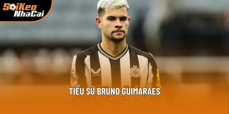 Tiểu sử Bruno Guimaraes Tiểu sử Bruno Guimaraes